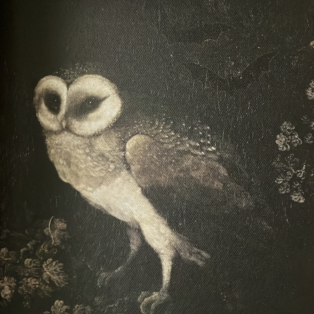 NEW - Mystical Owl Framed Art